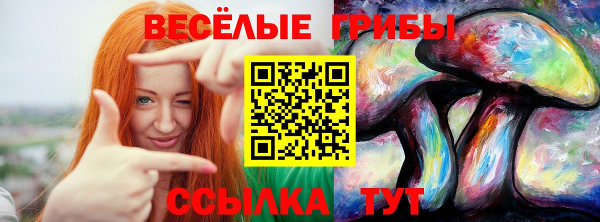 Галлюциногенные грибы GOLDEN TEACHER  Галлюциногенные грибы прущие грибы  Вход с VPN  Калуга 